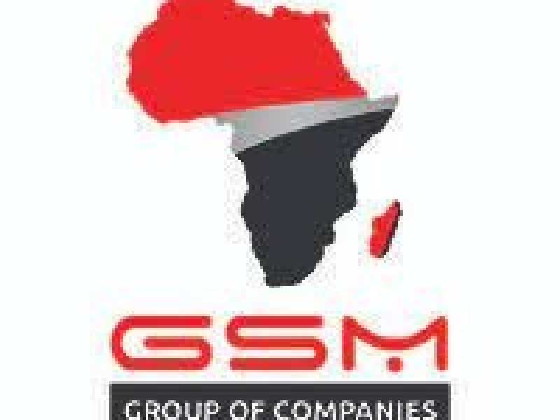 gsm-group-job-vacancy-human-resource-business-partner