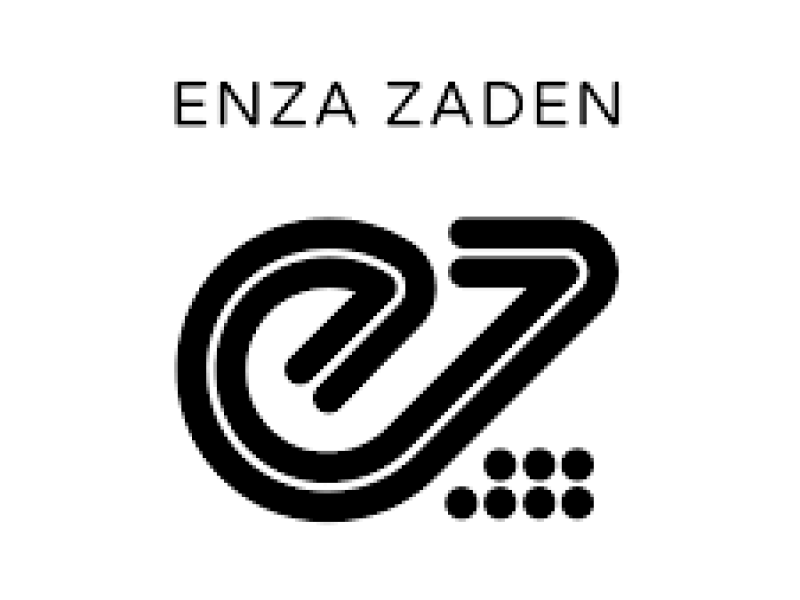 enza-zaden-job-vacancy-sales-promoter