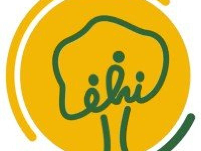 registered-nurse-2-positions-at-emerging-health-initiatives-ehi