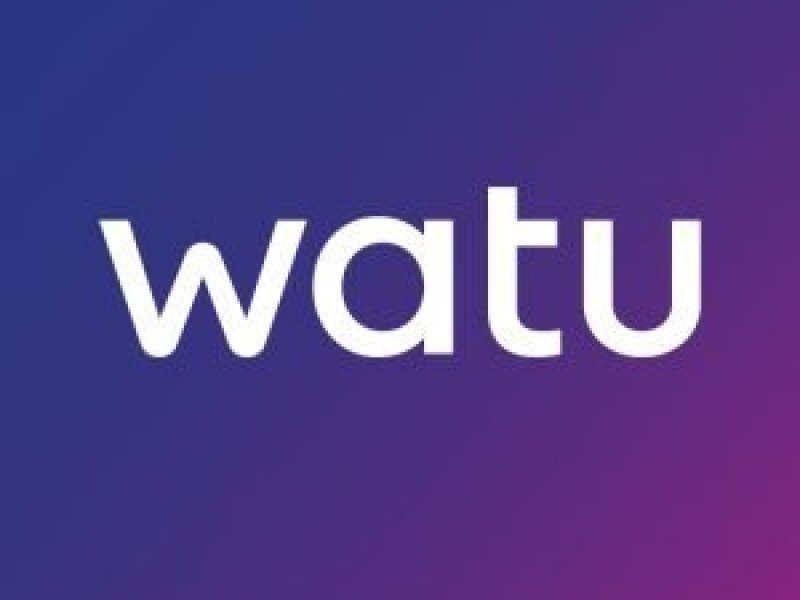 customer-care-officer-job-opportunity-at-watu-africa-july-2026
