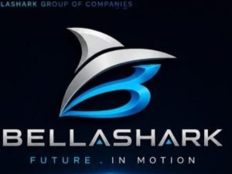 product-ambassador-beauty-sales-marketing-at-bellashark-beauty