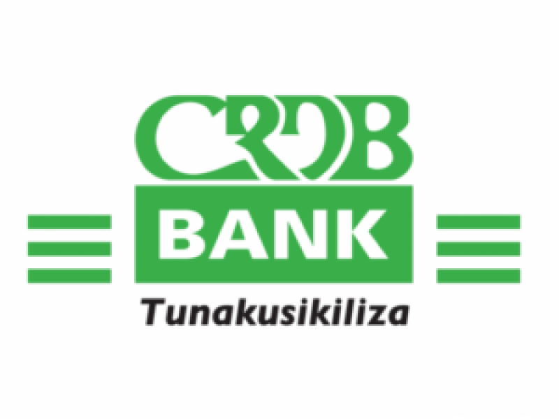 crdb-bank-plc-job-vacancy-manager-core-network-august-2026
