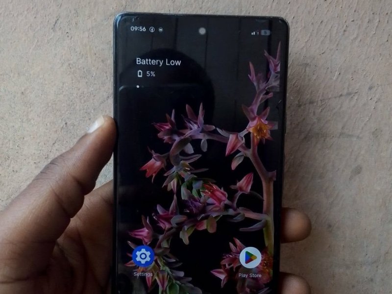 google-pixel-6-small-1