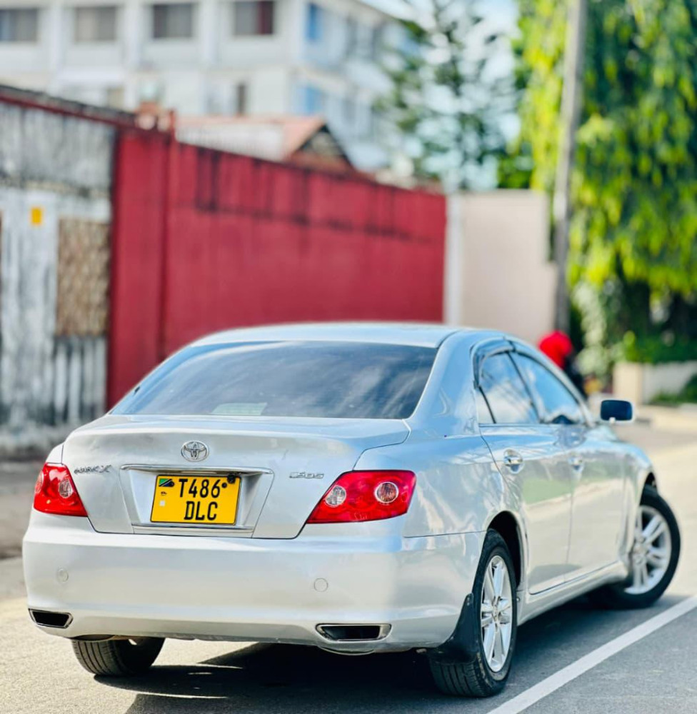toyota-mark-x-big-2
