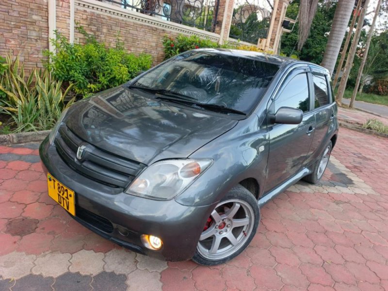 toyota-ist-small-2