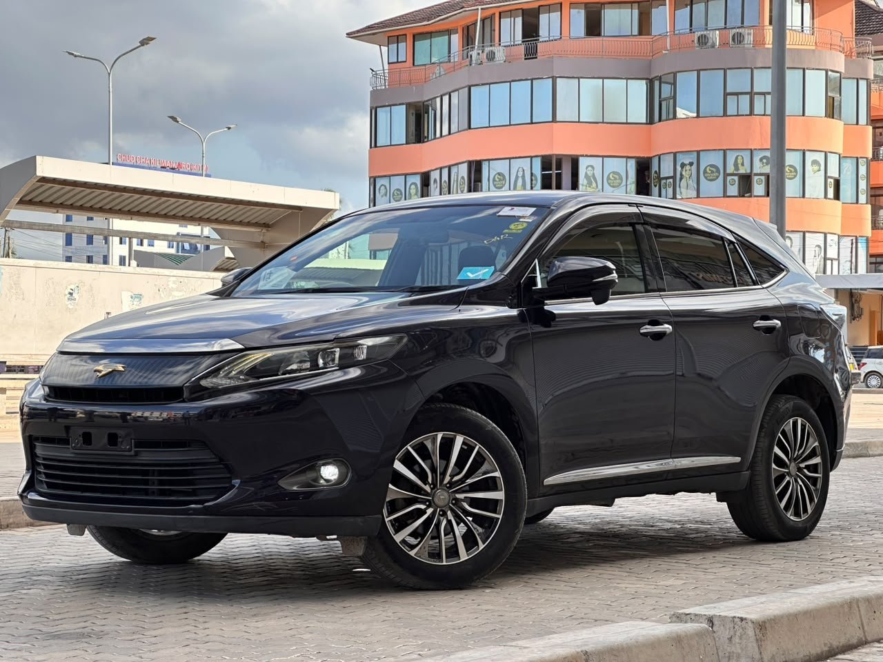 toyota-harrier-anaconda-big-0
