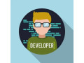 web-developer-small-2
